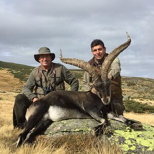 Ibex Hunting Spain