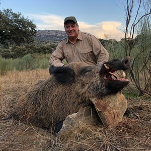 Hunt Wild Boar in Spain