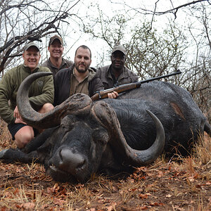 Buffalo Hunting South Africa