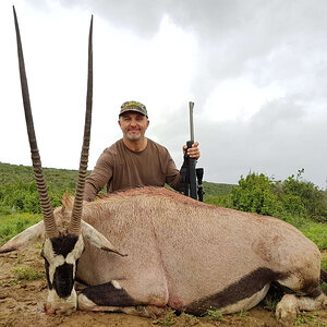 South Africa Hunt Gemsbok