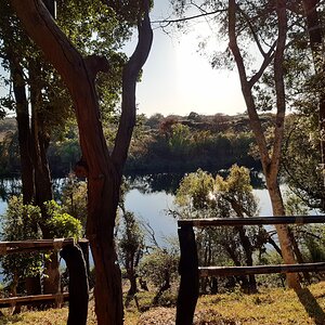 Down on the bank of the Kafue river Zambia