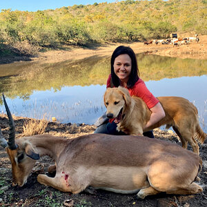 South Africa Hunting Impala