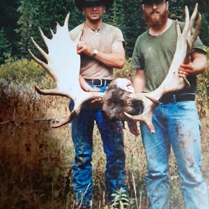 Moose Hunting Wyoming USA