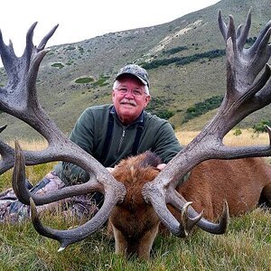 Hunt Red Stag in New Zealand