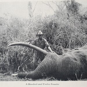 Hunting Elephant from the book African Hunter by Bror von Blixen-Finecke
