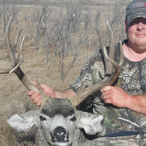 Hunt Mule Deer in Canada