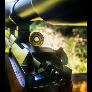 7x66 Rifle