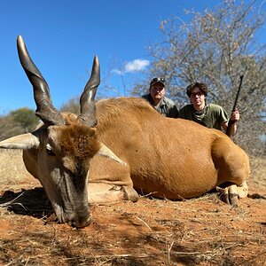 Eland Hunting South Africa