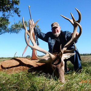 Hunt Red Stag in Argentina