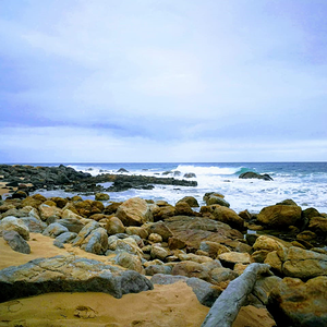 Shelly Beach Carlos Faria South Africa