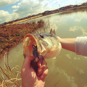 Fishing Bass in South Africa