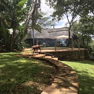 Hunting Lodge in Zimbabwe