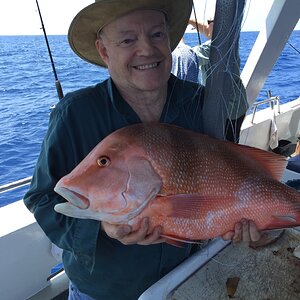 Fishing Red Emperor fish in Australia