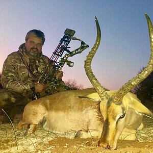 Impala Bow Hunt South Africa