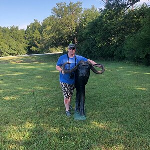 Cape Buffalo Bow Hunting Target