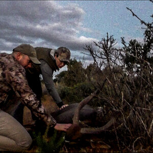 Nyala Hunting South Africa