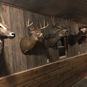 Trophy Room & Bar