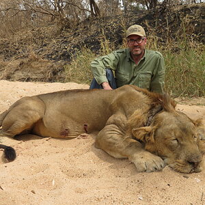 Hunting Lion in Cameroon