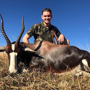 South Africa Hunting Bontebok
