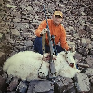 USA Hunt Mountain Goat