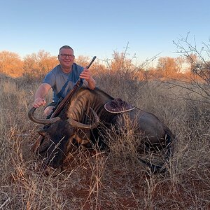 Blue Wildebeest Hunting South Africa