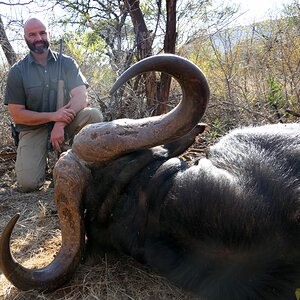 South Africa Hunting Buffalo