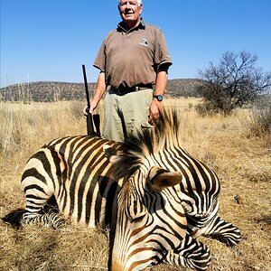 Hartmann's Mountain Zebra Hunt South Africa