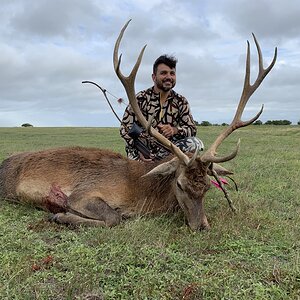 Red Stag Bow Hunt Argentina