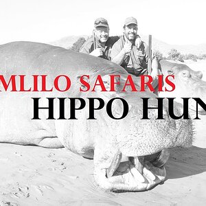 Hunting Hippo with Umlilo Safaris