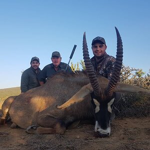 Roan Hunt South Africa