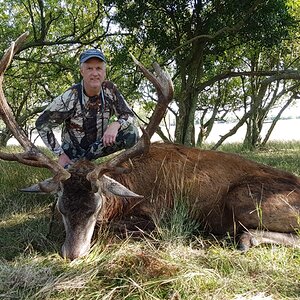 Red Stag Hunt Argentina