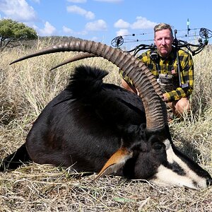 Sable Bow Hunting South Africa