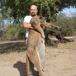 Hunt Puma in Argentina