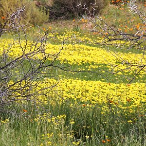 West Coast and Namaqualand Tour South Africa