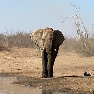 Sun downers with the Giants