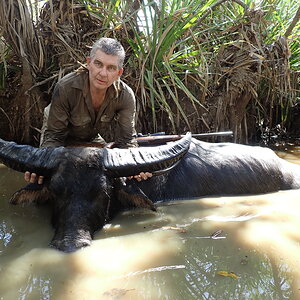 Asiatic Water Buffalo Hunt Australia