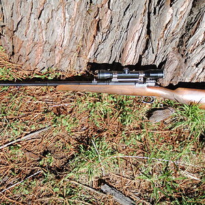 1893 Mauser DWM original Sporting 7x57 Rifle