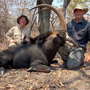 Sable Hunting Tanzania