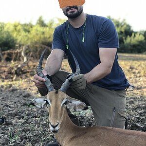 Zambia Hunting Impala