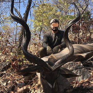 Zambia Hunt Kudu