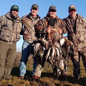 Wing shooting Duck in Argentina