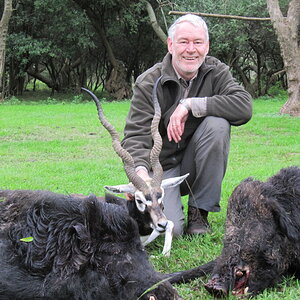 Argentina Hunt Boar & Blackbuck