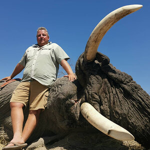 Botswana Hunting 70 Pounder Elephant