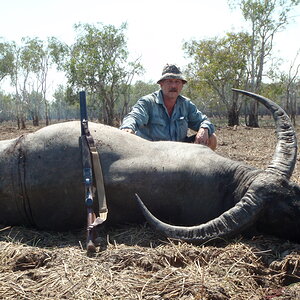 Asiatic Water Buffalo Hunting Australia