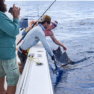 USA Fishing Sailfish