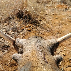 Hunting Hunting South Africa