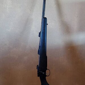 CZ in 416 Rigby Rifle