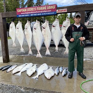 Halibut Fishing Alaska USA