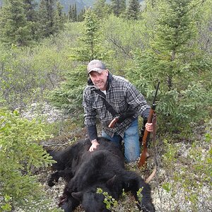 Alaska USA Hunt Black Bear