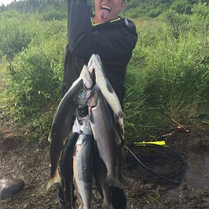 Alaska USA Fishing Salmon